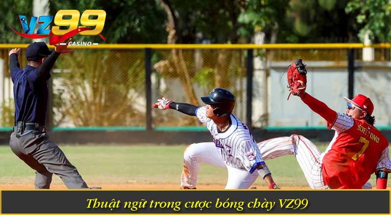 Cược Bóng Chày VZ99 – Sân Chơi Cá Cược Thể Thao Hấp Dẫn 5 Thuật ngữ trong cược bóng chày VZ99